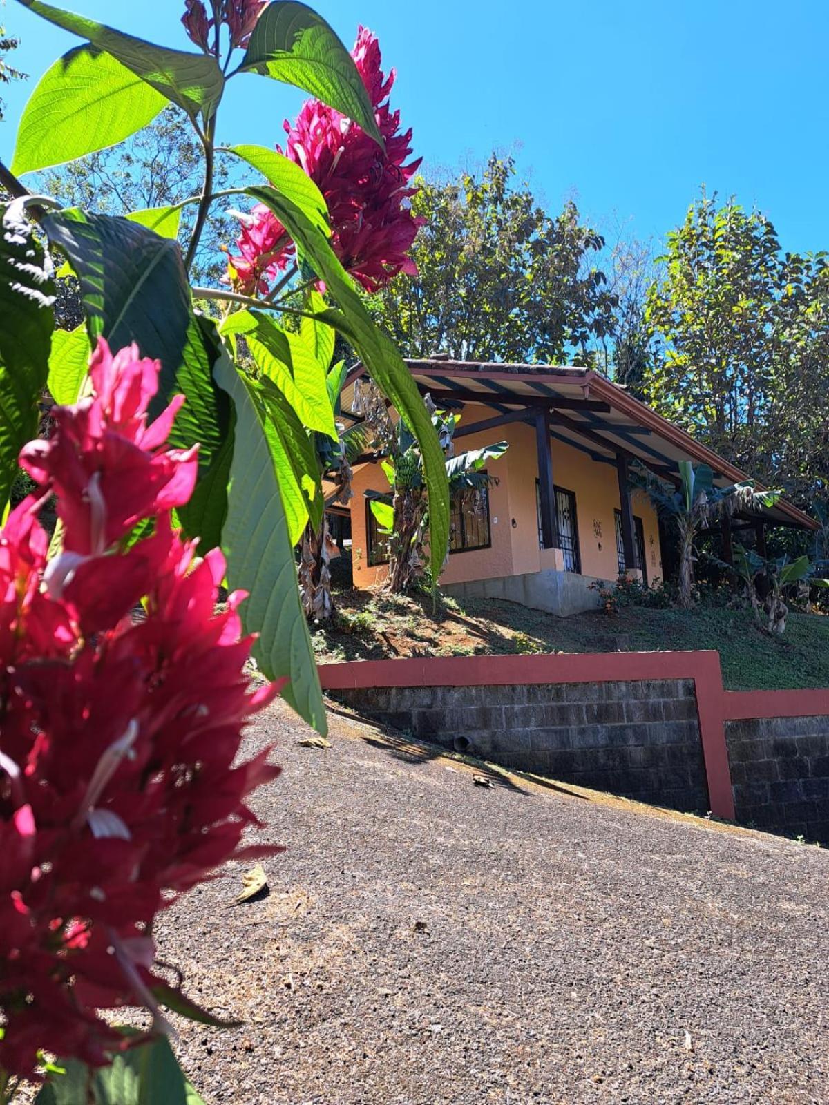 Serenity By Nature Carrillos Εξωτερικό φωτογραφία